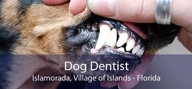 Dog Dentist Islamorada, Village of Islands - Florida