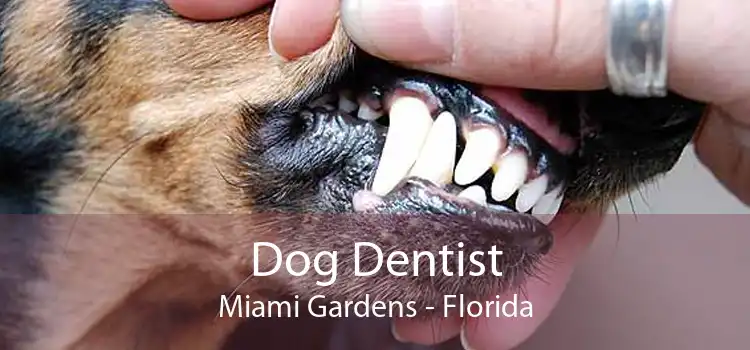 Dog Dentist Miami Gardens - Florida