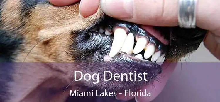 Dog Dentist Miami Lakes - Florida