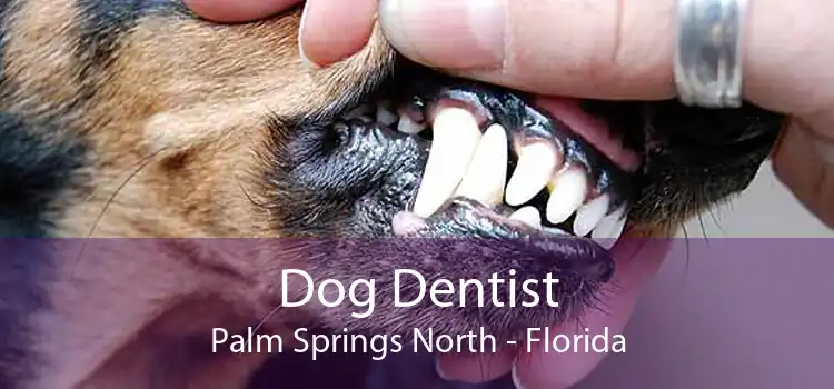 Dog Dentist Palm Springs North - Florida
