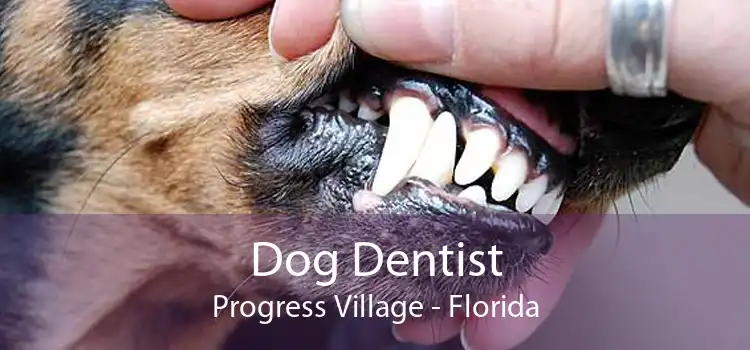 Dog Dentist Progress Village - Florida
