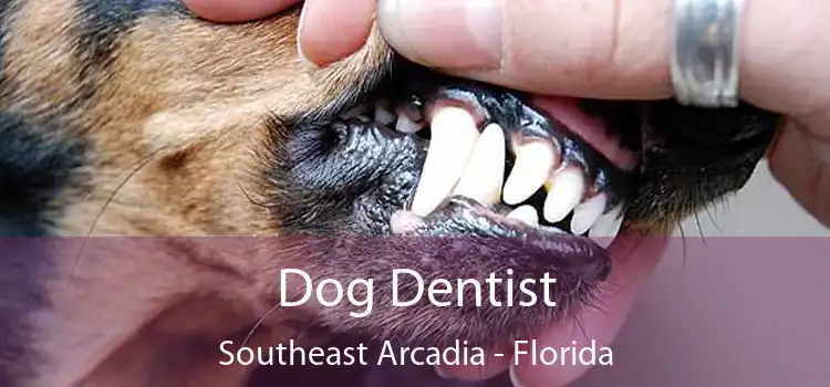 Dog Dentist Southeast Arcadia - Florida