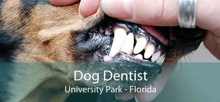Dog Dentist University Park - Florida
