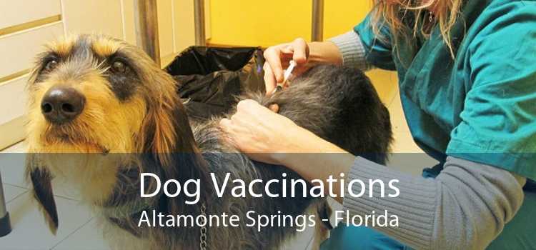 Dog Vaccinations Altamonte Springs - Florida