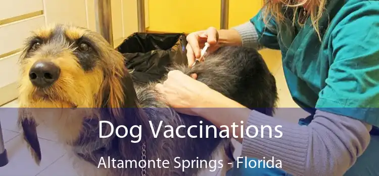 Dog Vaccinations Altamonte Springs - Florida