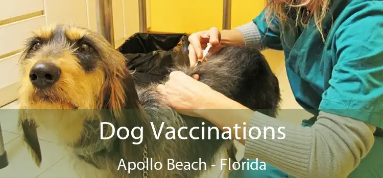 Dog Vaccinations Apollo Beach - Florida