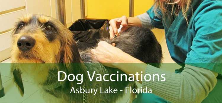 Dog Vaccinations Asbury Lake - Florida