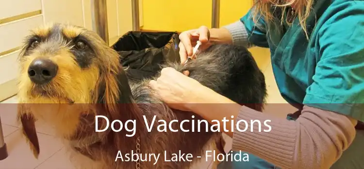 Dog Vaccinations Asbury Lake - Florida