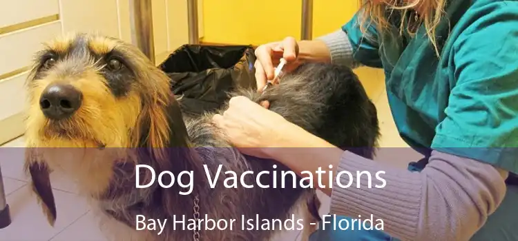 Dog Vaccinations Bay Harbor Islands - Florida