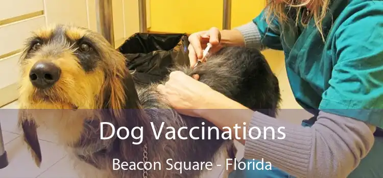 Dog Vaccinations Beacon Square - Florida