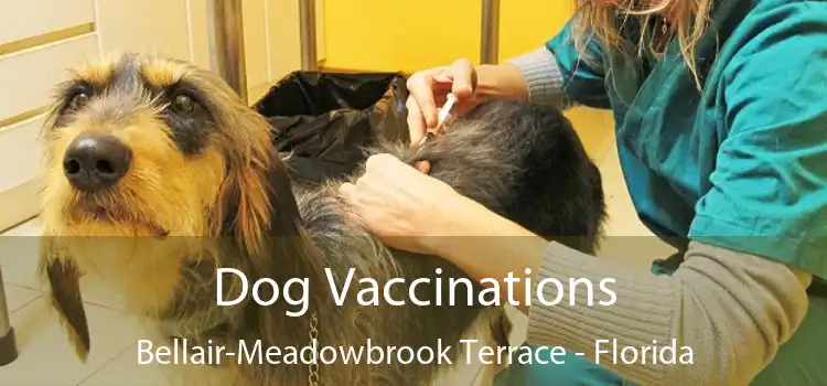 Dog Vaccinations Bellair-Meadowbrook Terrace - Florida