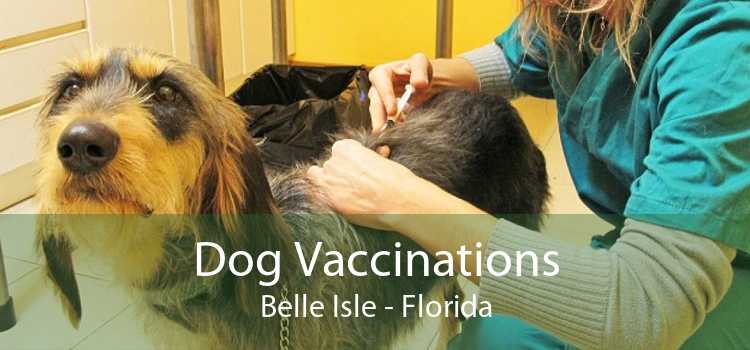 Dog Vaccinations Belle Isle - Florida