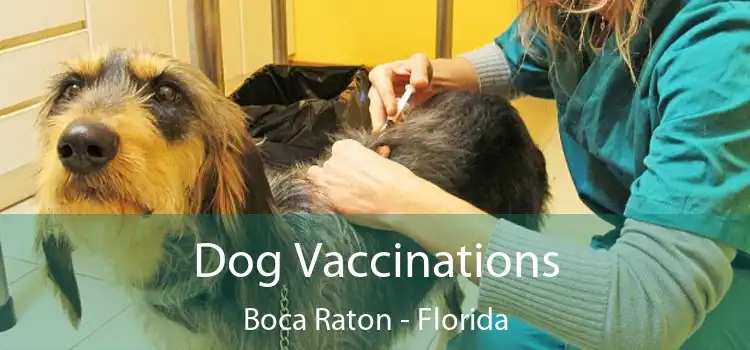 Dog Vaccinations Boca Raton - Florida