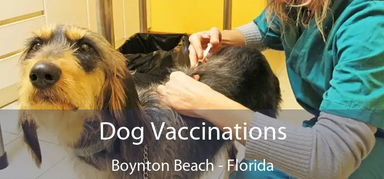 Dog Vaccinations Boynton Beach - Florida