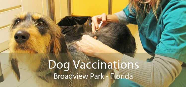 Dog Vaccinations Broadview Park - Florida