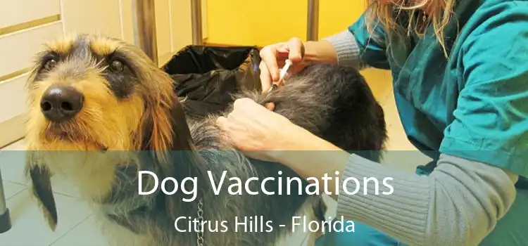 Dog Vaccinations Citrus Hills - Florida