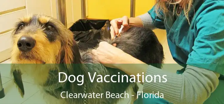 Dog Vaccinations Clearwater Beach - Florida