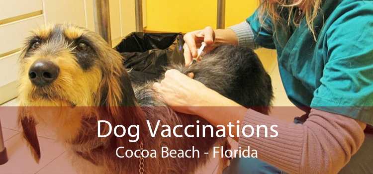 Dog Vaccinations Cocoa Beach - Florida