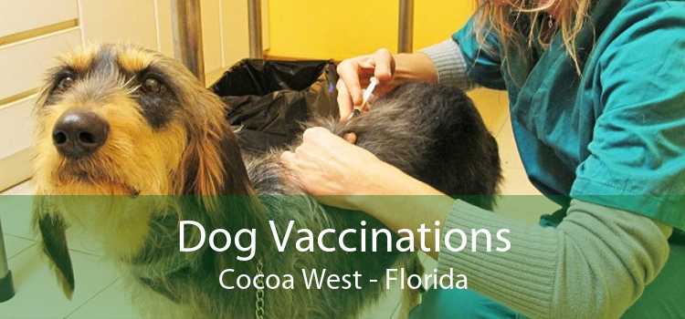 Dog Vaccinations Cocoa West - Florida