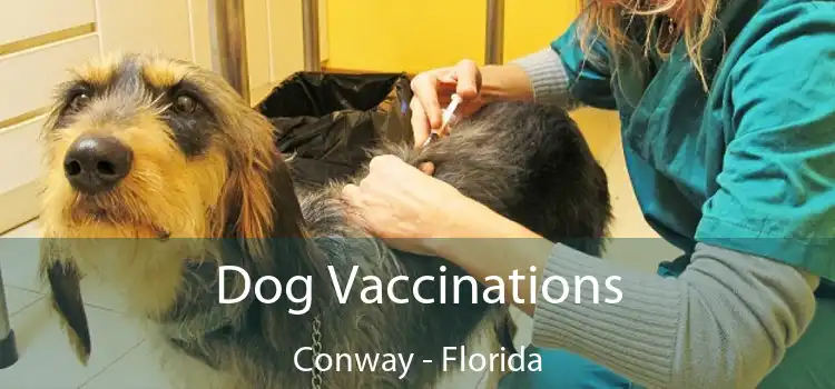 Dog Vaccinations Conway - Florida