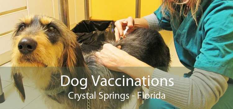 Dog Vaccinations Crystal Springs - Florida