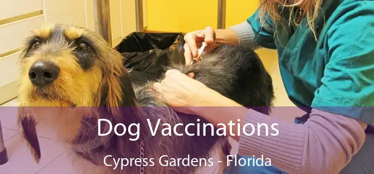 Dog Vaccinations Cypress Gardens - Florida