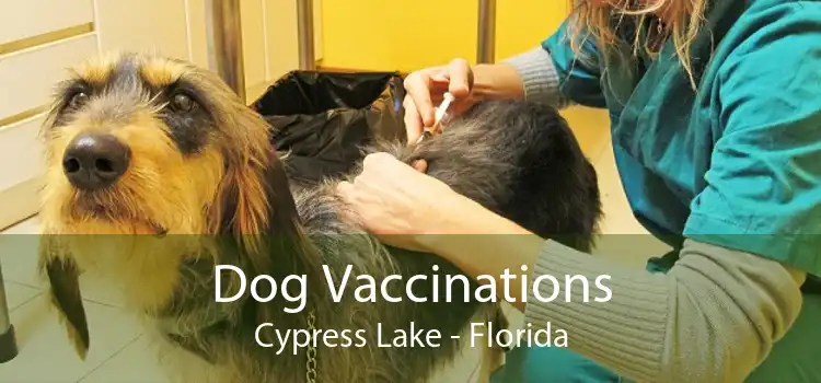 Dog Vaccinations Cypress Lake - Florida
