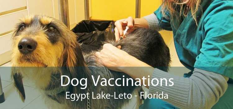 Dog Vaccinations Egypt Lake-Leto - Florida