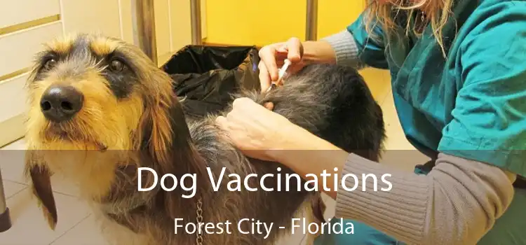 Dog Vaccinations Forest City - Florida