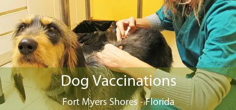 Dog Vaccinations Fort Myers Shores - Florida