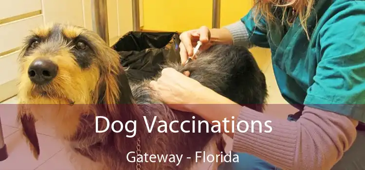 Dog Vaccinations Gateway - Florida