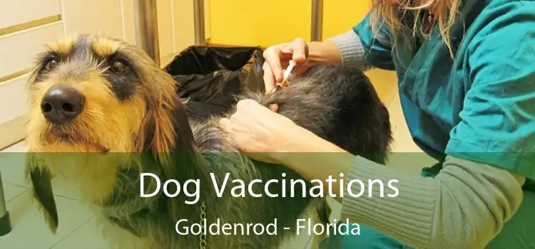 Dog Vaccinations Goldenrod - Florida