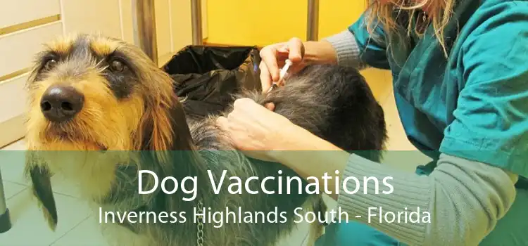 Dog Vaccinations Inverness Highlands South - Florida