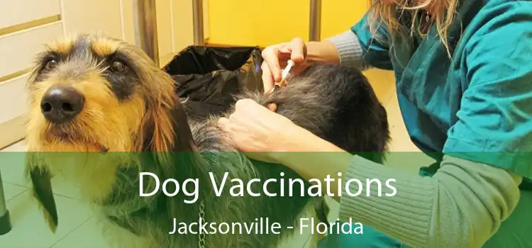 Dog Vaccinations Jacksonville - Florida