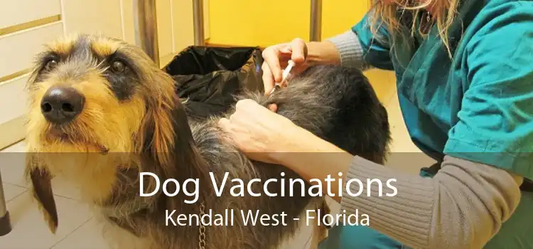 Dog Vaccinations Kendall West - Florida