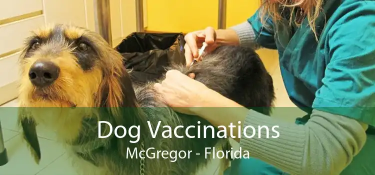 Dog Vaccinations McGregor - Florida