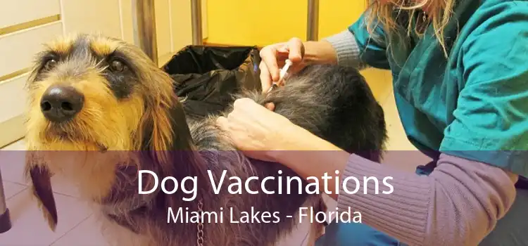 Dog Vaccinations Miami Lakes - Florida