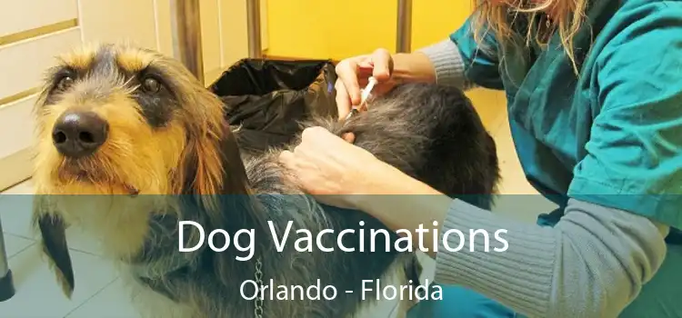 Dog Vaccinations Orlando - Florida