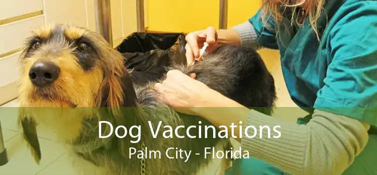 Dog Vaccinations Palm City - Florida
