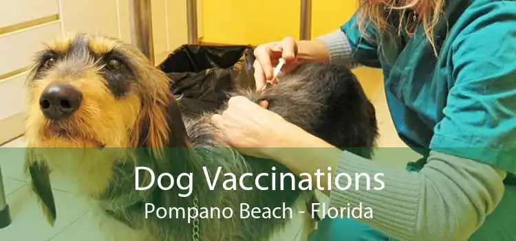 Dog Vaccinations Pompano Beach - Florida