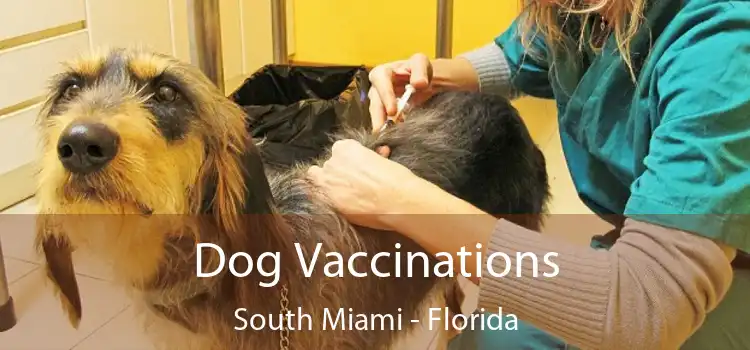 Dog Vaccinations South Miami - Florida