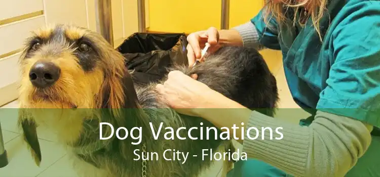 Dog Vaccinations Sun City - Florida