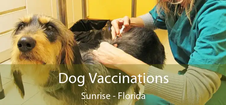 Dog Vaccinations Sunrise - Florida