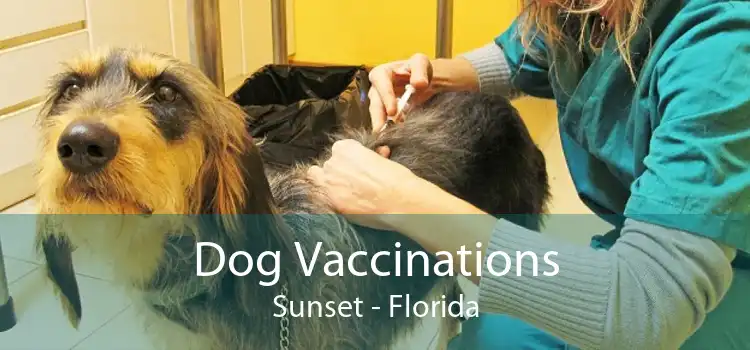 Dog Vaccinations Sunset - Florida