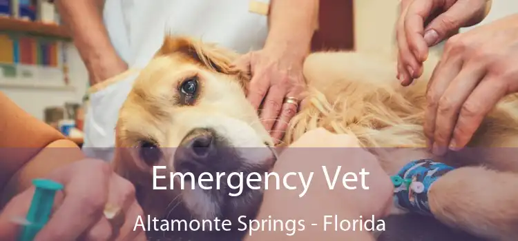 Emergency Vet Altamonte Springs - Florida