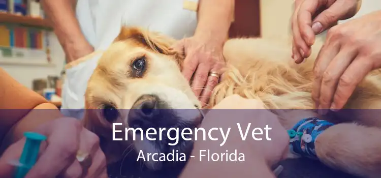 Emergency Vet Arcadia - Florida