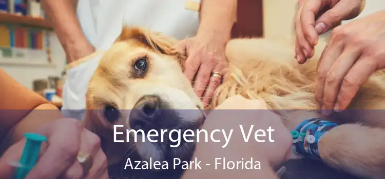 Emergency Vet Azalea Park - Florida