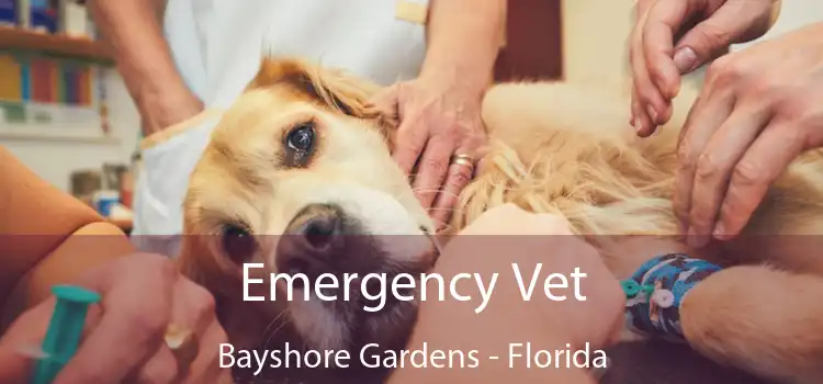 Emergency Vet Bayshore Gardens - Florida