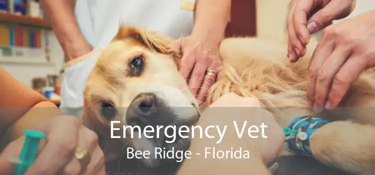 Emergency Vet Bee Ridge - Florida