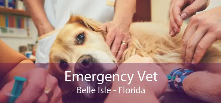 Emergency Vet Belle Isle - Florida